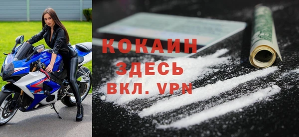 прущие грибы Абинск