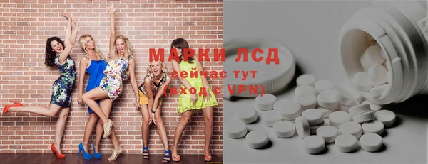 шишки Ессентукская