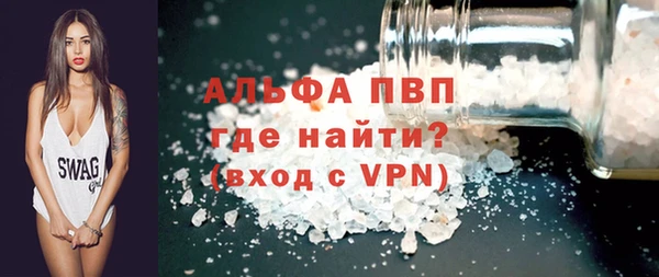 прущие грибы Абинск