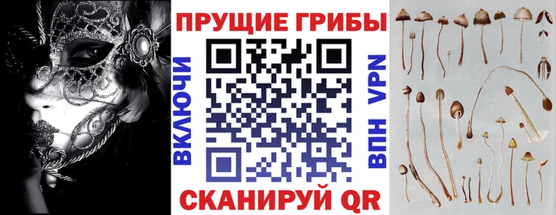 как найти   Александровск  Галлюциногенные грибы Cubensis 